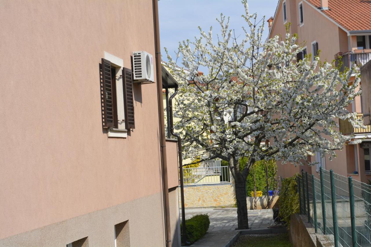 Apartments Denis & Lucija Rovinj Ngoại thất bức ảnh